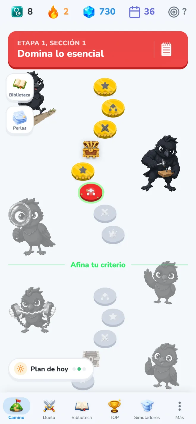 Camino de estudio de AKI ENARM